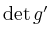 $ \operatorname{det} g'$