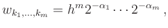 $\displaystyle w_{k_1,\ldots,k_m} = h^m 2^{-\alpha_1} \cdots 2^{-\alpha_m}
\,,
$